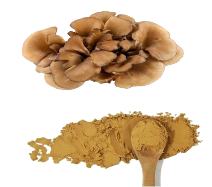 Maitake